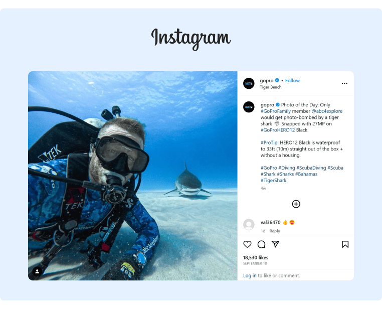 GoPro shared a selfie from one of their customers who was scuba diving next to a shark